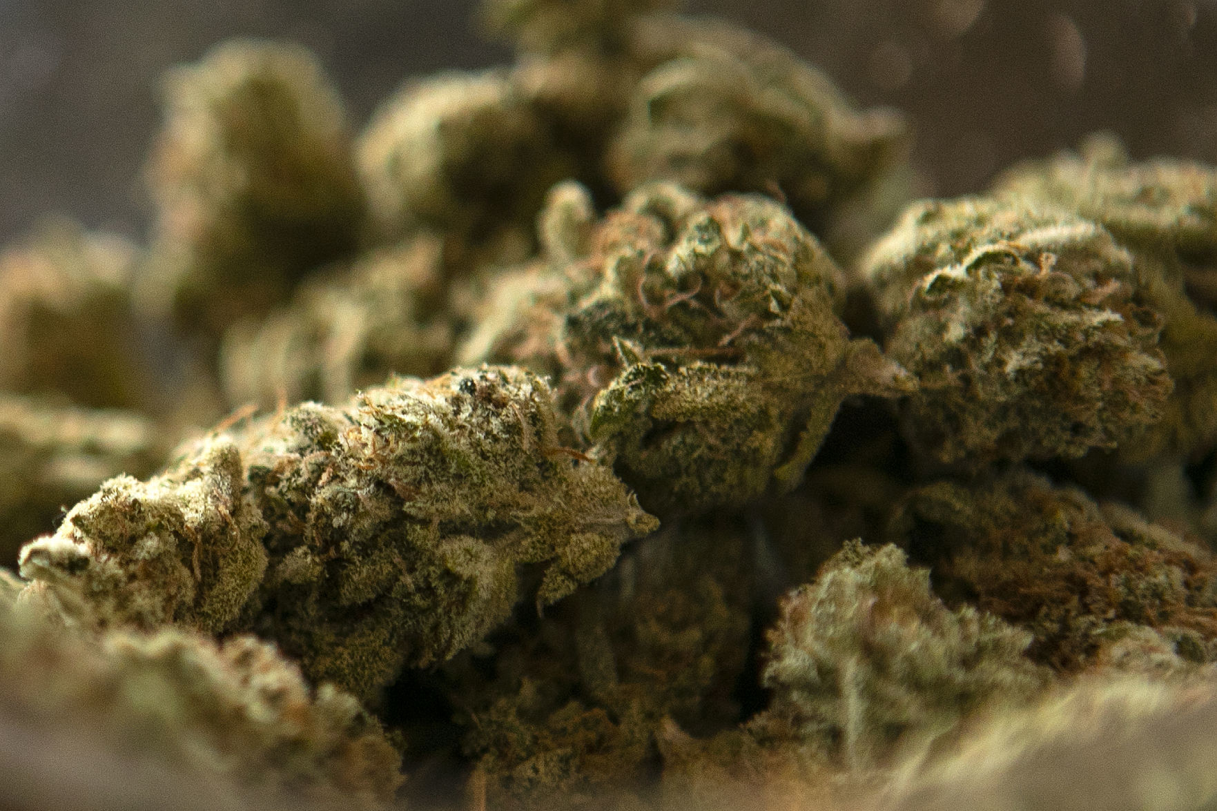 Marijuana